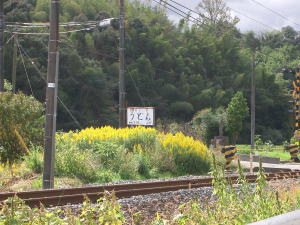 c0084903_23275136.jpg