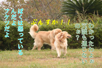 e0072606_1110857.jpg