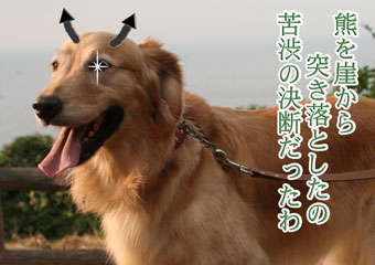 e0072606_17384976.jpg