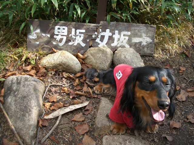 小旅行パート1(南志賀 山田牧場)_f0051306_15305370.jpg