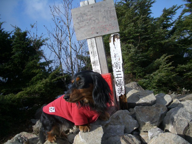 小旅行パート1(南志賀 山田牧場)_f0051306_15322938.jpg