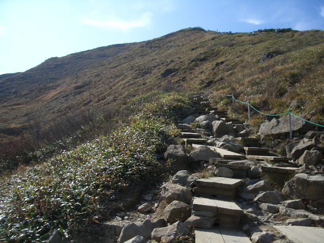 小旅行パート2(白馬村 八方尾根)_f0051306_15585396.jpg