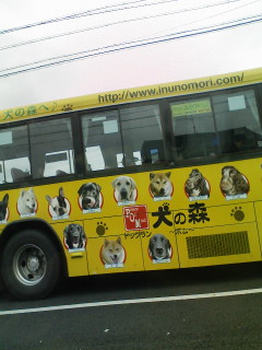 b0085408_20543135.jpg
