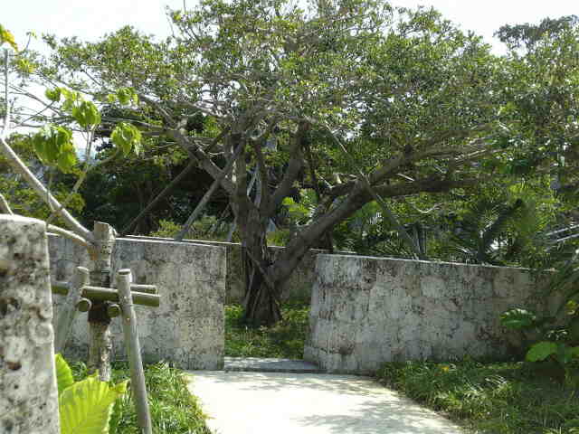 f0107320_343792.jpg
