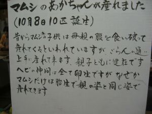 豊穣の秋_f0076731_22192167.jpg