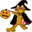 b0055939_9183566.gif