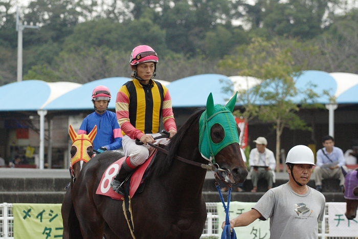 2006年10月22日（日） 高知競馬 頑張ってるホリエモン_a0077663_1895745.jpg