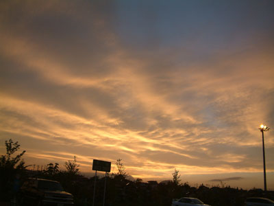 c0050264_11593741.jpg