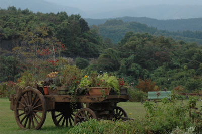 c0050264_12401653.jpg