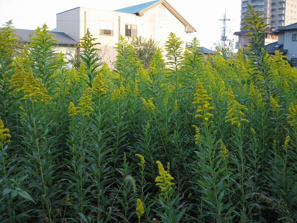 b0107769_18271887.jpg