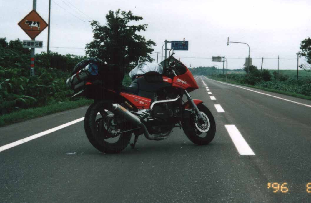 e0046771_11333858.jpg