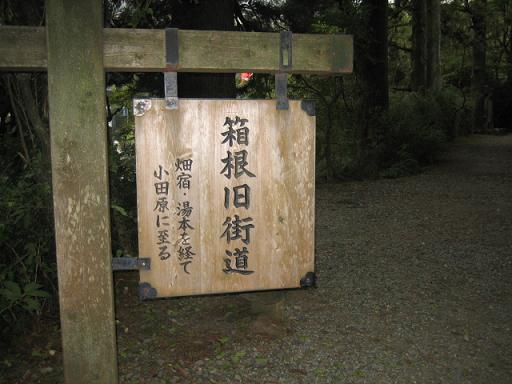 箱根の山は天下の険_a0081772_10251135.jpg