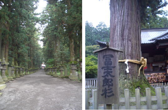 樹海の近くにある富士浅間神社_c0094876_2271871.jpg