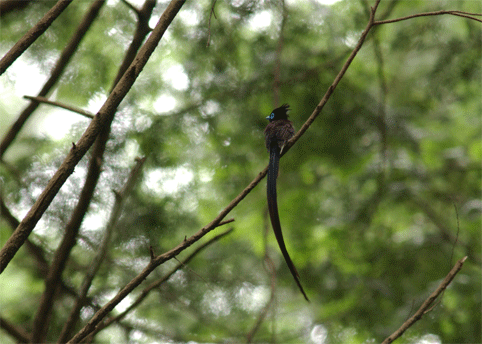 c0096278_2239155.gif