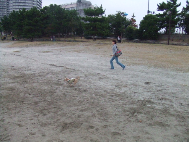 a0067882_1854417.jpg