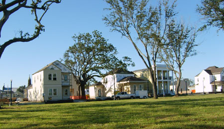 d0000995_12512939.jpg