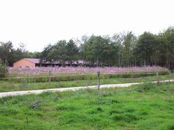 a0091997_91504.jpg