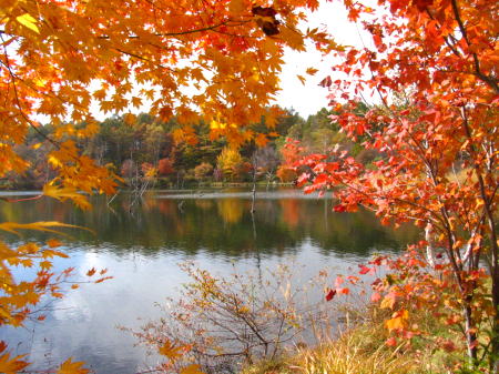 c0090198_8381795.jpg