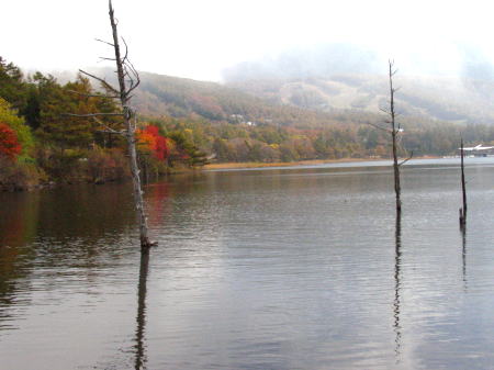 c0090198_84648.jpg