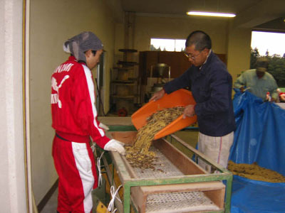 結いの里・good!畑の大豆収穫の報告です！_a0080406_124747.jpg