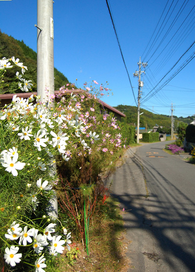 d0072720_13471841.jpg