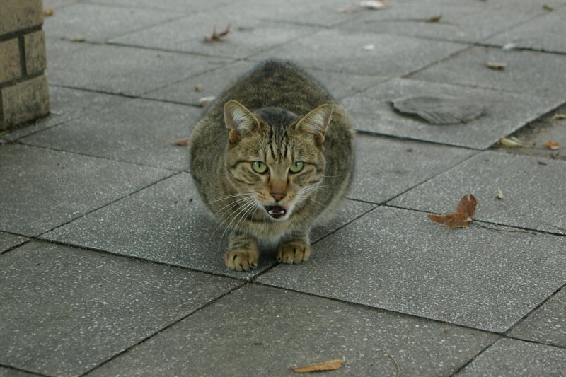 東区○×公園（今日も）_d0032931_21455760.jpg