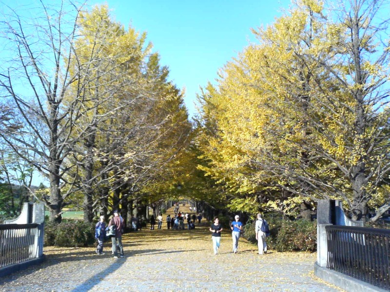 紅葉でも茶臼山高原_b0058733_0201351.jpg