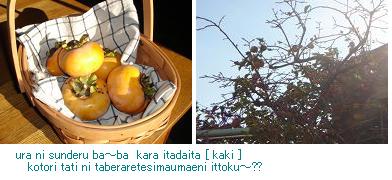 ツーリング情報_f0073343_15311740.jpg