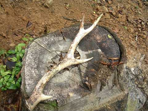 f0090444_21131422.jpg