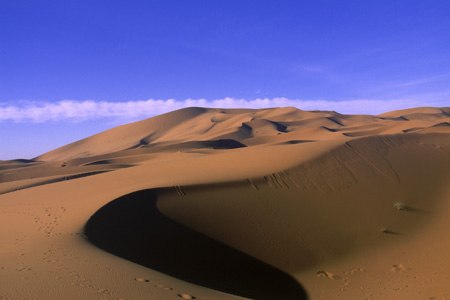 d0080957_10504.jpg