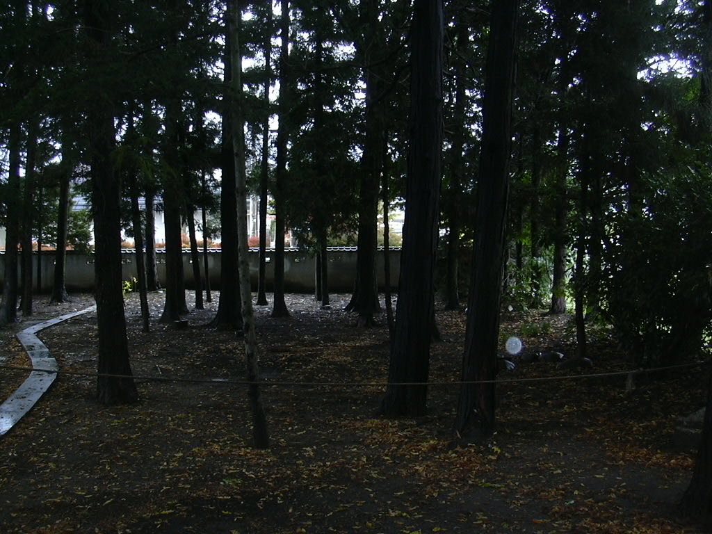 d0048366_114559.jpg