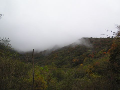 c0042869_13314421.jpg
