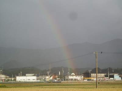 雨_a0077071_7311556.jpg