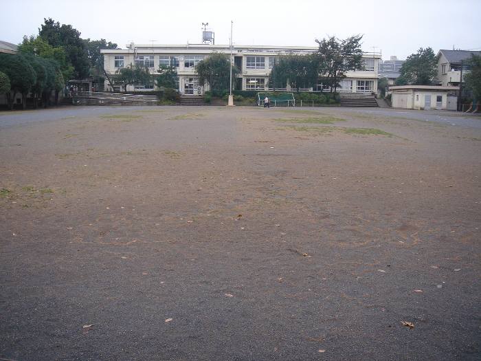 f0059673_23552621.jpg