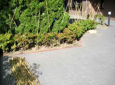 f0083977_2245225.jpg