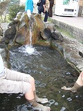 f0095391_1182486.jpg