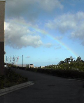 b0046398_448375.jpg