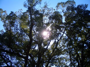 b0067598_21323249.jpg