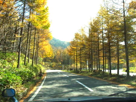 c0090198_957922.jpg