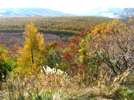c0090198_9581728.jpg