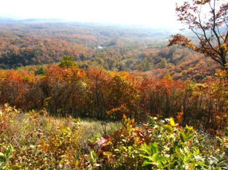 c0090198_9584024.jpg