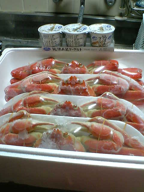 c0073205_2230182.jpg