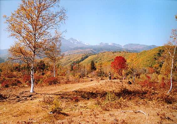 体温39.7℃・・・_c0067206_9321226.jpg