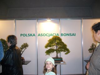 e0039206_0585828.jpg