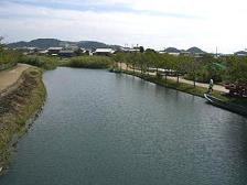 e0093407_1662516.jpg