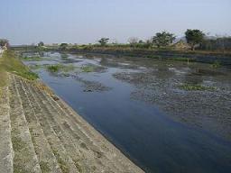 e0093407_17243618.jpg
