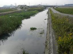 e0093407_17261382.jpg