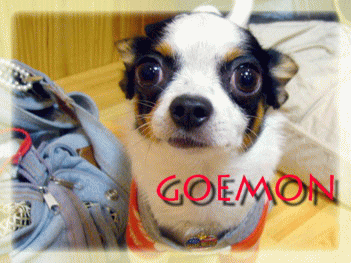 e0032508_043225.gif