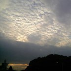 b0083918_226861.jpg