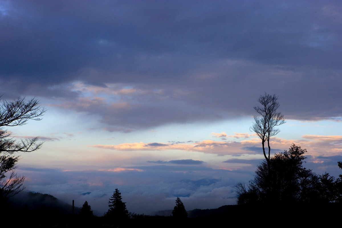d0073620_23261555.jpg